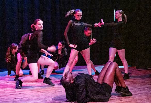 Commercial Black leotards